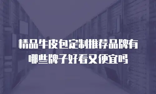 精品牛皮包定制推荐品牌有哪些牌子好看又便宜吗