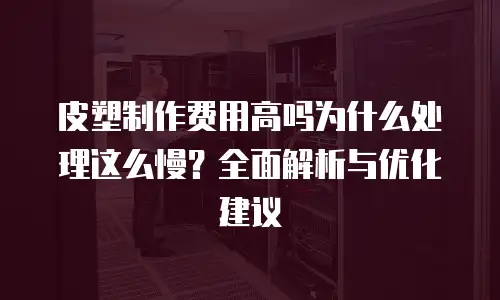 皮塑制作费用高吗为什么处理这么慢？全面解析与优化建议