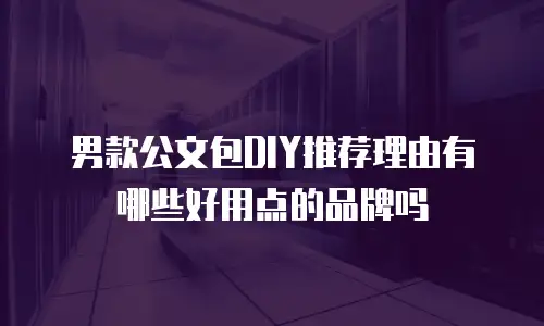 男款公文包DIY推荐理由有哪些好用点的品牌吗