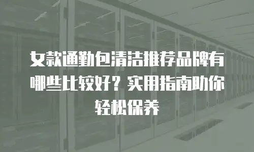 女款通勤包清洁推荐品牌有哪些比较好？实用指南助你轻松保养