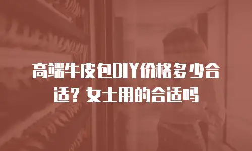 高端牛皮包DIY价格多少合适？女士用的合适吗