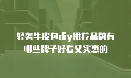 轻奢牛皮包diy推荐品牌有哪些牌子好看又实惠的