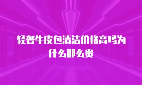 轻奢牛皮包清洁价格高吗为什么那么贵