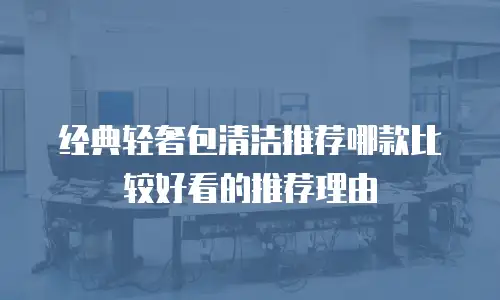 经典轻奢包清洁推荐哪款比较好看的推荐理由