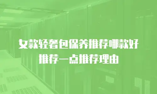 女款轻奢包保养推荐哪款好推荐一点推荐理由