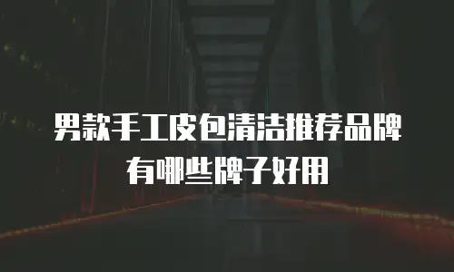 男款手工皮包清洁推荐品牌有哪些牌子好用