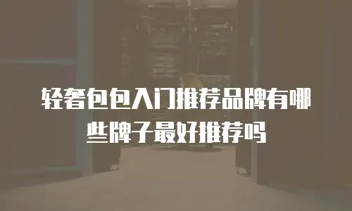 轻奢包包入门推荐品牌有哪些牌子最好推荐吗