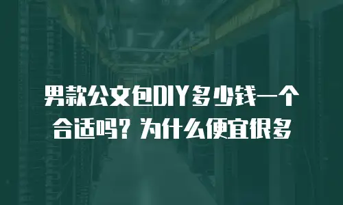 男款公文包DIY多少钱一个合适吗？为什么便宜很多
