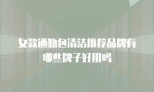 女款通勤包清洁推荐品牌有哪些牌子好用吗