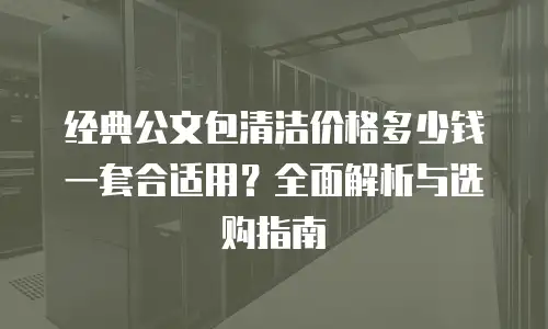 经典公文包清洁价格多少钱一套合适用？全面解析与选购指南