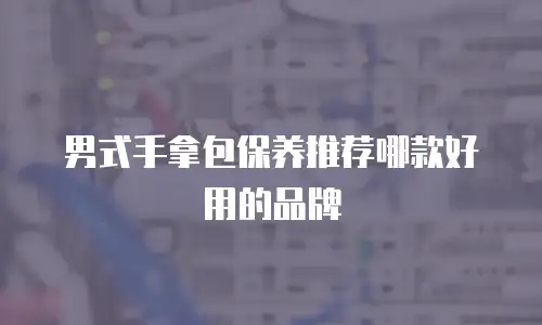 男式手拿包保养推荐哪款好用的品牌