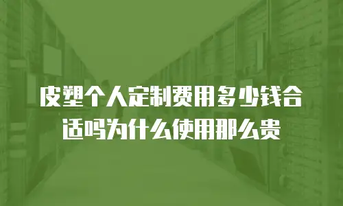 皮塑个人定制费用多少钱合适吗为什么使用那么贵