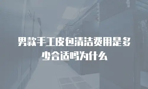 男款手工皮包清洁费用是多少合适吗为什么