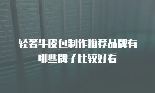 轻奢牛皮包制作推荐品牌有哪些牌子比较好看