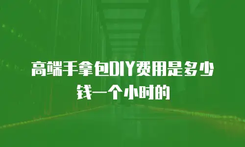 高端手拿包DIY费用是多少钱一个小时的