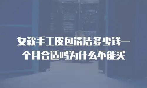 女款手工皮包清洁多少钱一个月合适吗为什么不能买