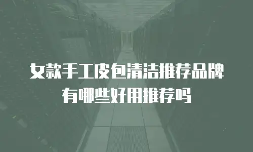 女款手工皮包清洁推荐品牌有哪些好用推荐吗