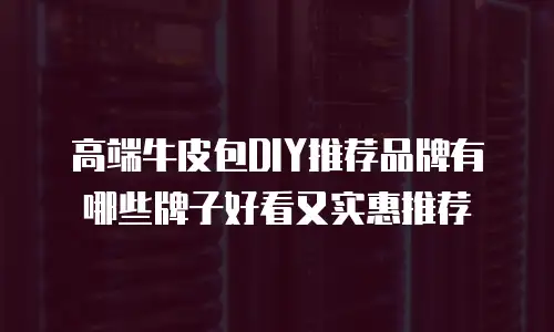 高端牛皮包DIY推荐品牌有哪些牌子好看又实惠推荐
