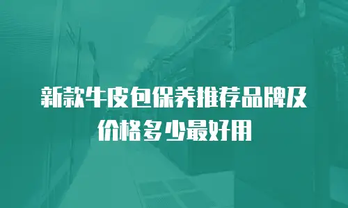新款牛皮包保养推荐品牌及价格多少最好用