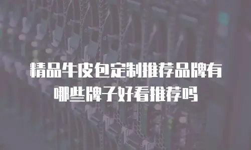 精品牛皮包定制推荐品牌有哪些牌子好看推荐吗