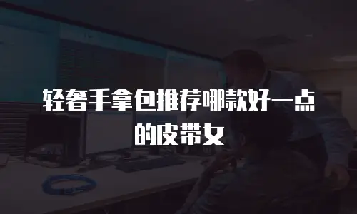 轻奢手拿包推荐哪款好一点的皮带女