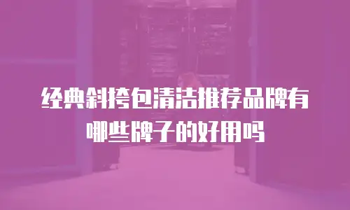 经典斜挎包清洁推荐品牌有哪些牌子的好用吗