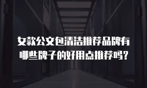 女款公文包清洁推荐品牌有哪些牌子的好用点推荐吗？