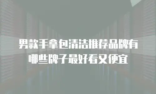 男款手拿包清洁推荐品牌有哪些牌子最好看又便宜