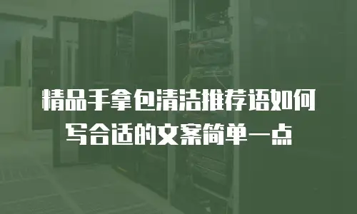 精品手拿包清洁推荐语如何写合适的文案简单一点