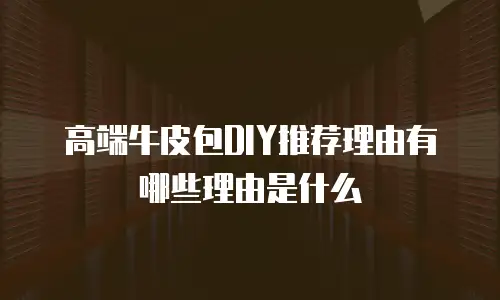 高端牛皮包DIY推荐理由有哪些理由是什么