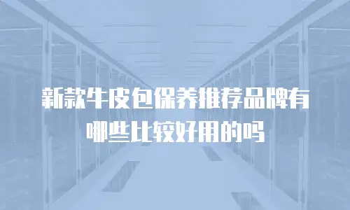 新款牛皮包保养推荐品牌有哪些比较好用的吗