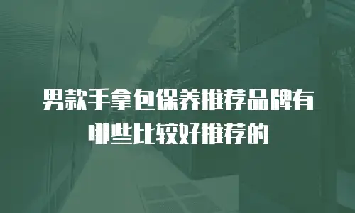 男款手拿包保养推荐品牌有哪些比较好推荐的