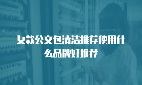 女款公文包清洁推荐使用什么品牌好推荐