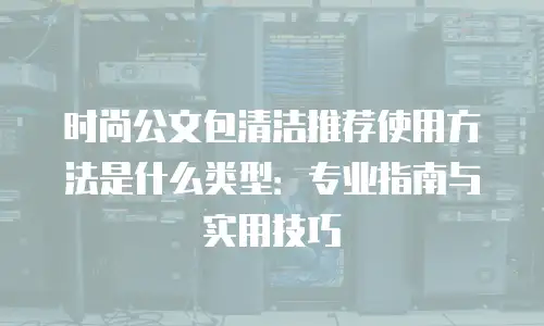 时尚公文包清洁推荐使用方法是什么类型：专业指南与实用技巧