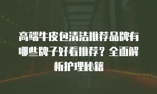 高端牛皮包清洁推荐品牌有哪些牌子好看推荐？全面解析护理秘籍