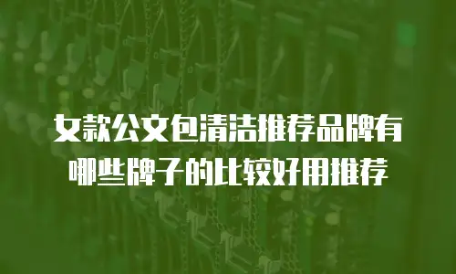 女款公文包清洁推荐品牌有哪些牌子的比较好用推荐