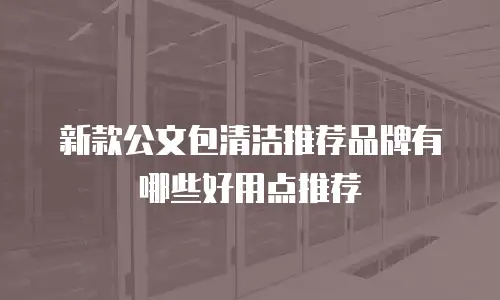 新款公文包清洁推荐品牌有哪些好用点推荐