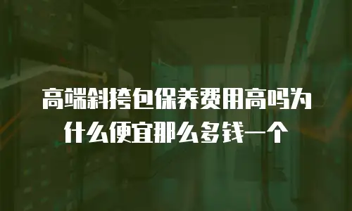 高端斜挎包保养费用高吗为什么便宜那么多钱一个