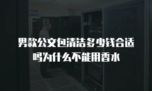 男款公文包清洁多少钱合适吗为什么不能用香水