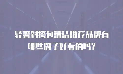 轻奢斜挎包清洁推荐品牌有哪些牌子好看的吗？