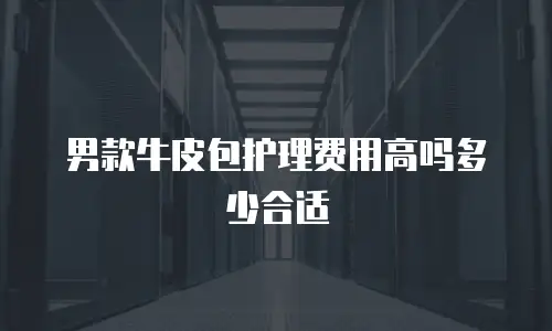 男款牛皮包护理费用高吗多少合适