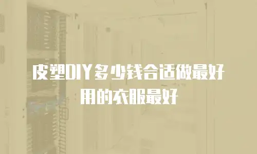 皮塑DIY多少钱合适做最好用的衣服最好