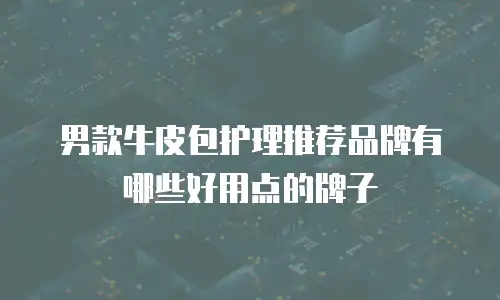 男款牛皮包护理推荐品牌有哪些好用点的牌子