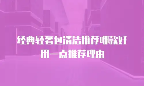 经典轻奢包清洁推荐哪款好用一点推荐理由