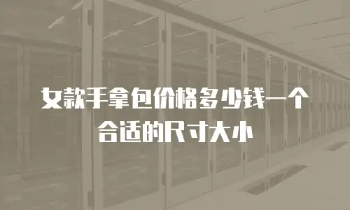 女款手拿包价格多少钱一个合适的尺寸大小