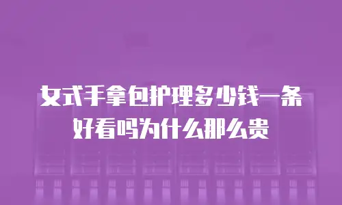 女式手拿包护理多少钱一条好看吗为什么那么贵
