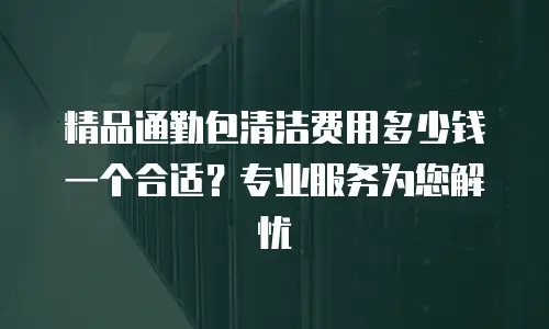 精品通勤包清洁费用多少钱一个合适？专业服务为您解忧