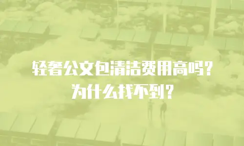 轻奢公文包清洁费用高吗？为什么找不到？