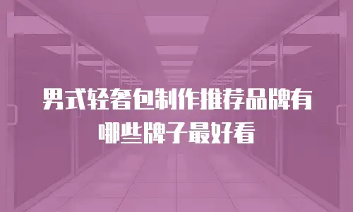 男式轻奢包制作推荐品牌有哪些牌子最好看