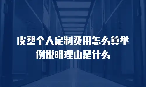 皮塑个人定制费用怎么算举例说明理由是什么